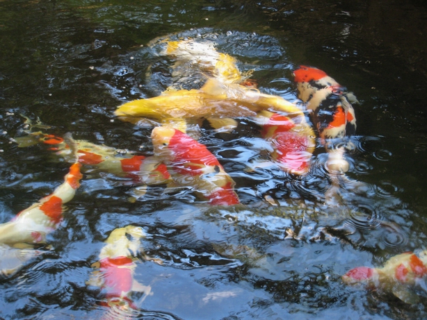 手機(jī)圖片1 191.jpg